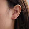Piercing hart
